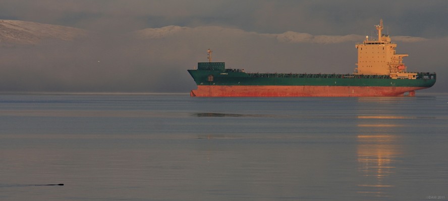 Spot the seal, Greenock
Looking out from the Greenock Esplanade across the Clyde.  The container ship Cimbria lies anchored, apparently another victim of the downturn in 2009.  She was built in Korea in 2002 with a displacement of some 27,779 tons. 
