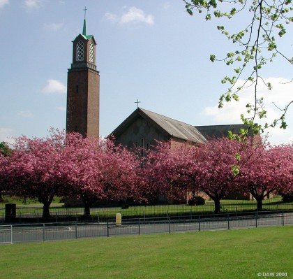 Cherry Blossom & St John Church
