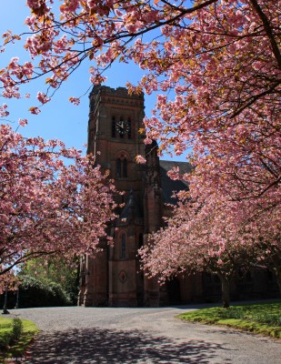 St Andrews Parish Church, Moffat
The Clock Tower of St Andrews Church in Moffat. The church opened its doors in 1887. the clock in the tower was added in 1932.  There has been a church at this location since 1177.  [url=http://streetmap.co.uk/map.srf?X=308510&Y=605099&A=Y&Z=120/] Map location. [/url]
