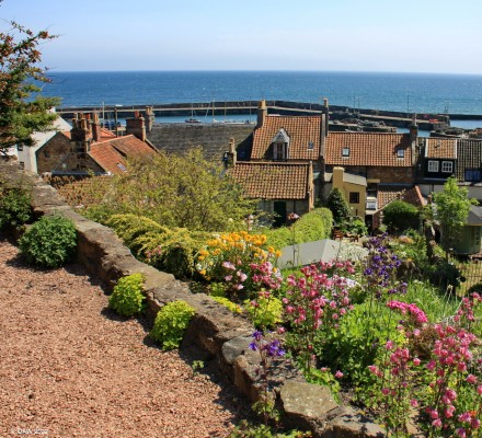 St Monans, Fife
A view looking towards the harbour on one of the back streets of St Monans.  [url=http://www.streetmap.co.uk/map?X=351738&Y=701163&A=Y&Z=115&ax=352428&ay=701608/] Map location. [/url]
