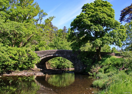 The Stinchar Bridge, Barr
The Bridge over the river Stinchar at the small Village of Barr in South Ayrshire.  [url=http://streetmap.co.uk/map.srf?X=227357&Y=594022&A=Y&Z=115/] Map location. [/url]
