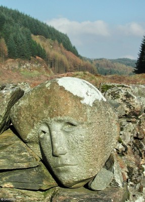 Stone carvings, Galloway forest
These carvings have been placed into the stone walls of old sheep pens near Murray's Monument as part of the Galloway Forest Park Arts Programme.  [url=http://www.streetmap.co.uk/map.srf?X=249185&Y=572429&A=Y&Z=120/] Map location. [/url]
