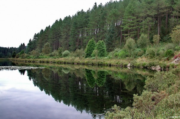 Stroan Loch, Galloway
Stroan Loch lies on the route of "The Raiders Road", a forest drive open in the summer that goes from Mossdale over to Clatteringshaws Dam.  [url=http://streetmap.co.uk/map.srf?X=264722&Y=570030&A=Y&Z=120/]Map location[/url]
