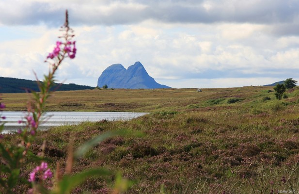 Looking towards Suilven
One of Sutherlands most distinctive mountains.  Rising almost vertically to a height of 731 metres.  [url=http://www.streetmap.co.uk/map.srf?X=226937&Y=909550&A=Y&Z=126&ax=232392&ay=905640/] Map location. [/url]
