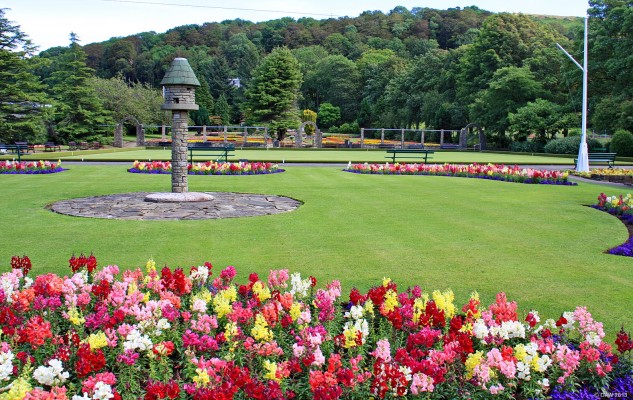 Summer colour, Douglas Park, Largs
