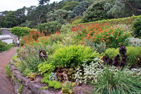 Inverewe Gardens
Summer colour at Inverewe Gardens near Poolewe.
