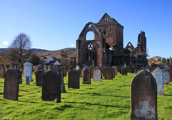 Ruins of Sweetheart Abbey, New Abbey
[url=http://streetmap.co.uk/map?X=296562&Y=566289&A=Y&Z=115/] Map location. [/url]
