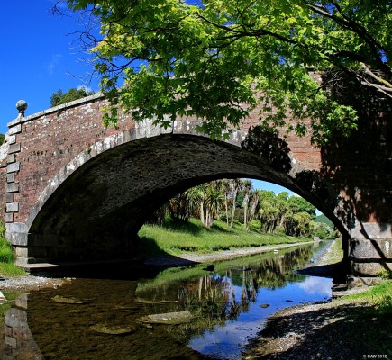 The Canal, Castle Kennedy Gardens, 2010
The Canal that links Black Loch and White Loch at Castle Kennedy Gardens.  Notice the spectacular line of Palm trees that line the bank through the arch.  Sadly it could be 20 years before it looks this good again since the winter of 2010/2011 damaged them so much they had to be cut down to ground level.  They say they will grow back and in spring 2012 there are indeed  signs of re-growth.  [url=http://www.streetmap.co.uk/map.srf?X=211233&Y=560776&A=Y&Z=115/] Map location. [/url]
