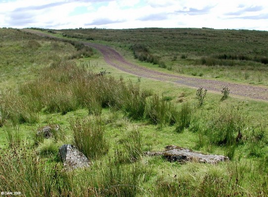 The Covenanters Stones, Moyne Moor
You could easily pass these without noticing them beside the track that leads to Long Loch.  There are 7 slab stones that are said to tbe graves of seven covenanters, today it is generally thought they may fallen stones from a stone circle.  [url=http://www.streetmap.co.uk/streetmap.dll?G2M?X=247765&Y=653290&A=Y&Z=120/] Map location. [/url]
