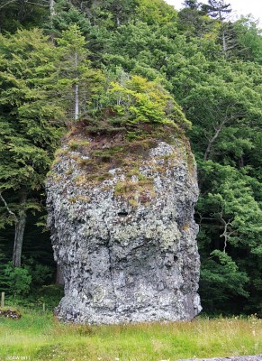 The Dog Stone, Oban
The Dog stone stands in a field in front of a cliff line about 20ft above sea level.  It is an undercut, raised sea stack.  Its name derives from a legend that this is where the giant, Fingal, tied up his dog, Bran, when he went hunting in the Hebrides.  The significance of it was only appreciated by Geologist Hugh Miller in 1857 as evidence that the shore line rose out the water after the weight of ice receeded after the last ice age.  
