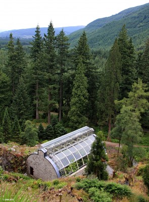 The Fernery, Benmore Botanic gardens
The restored Victorian Fernery at Benmore Gardens.  It's tucked away in a crevice half way up the hill side, at the time it was built nobody was bothered with wheelchair access. [url=http://www.streetmap.co.uk/map.srf?X=213740&Y=685161&A=Y&Z=115/] Map location. [/url]

