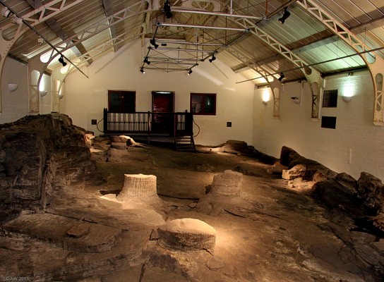 The Fossil Grove, Victoria Park
Inside the fossil grove at Victoria Park.  Discovered by accident in 1887 when a path was being constructed through the old quarry at the western end of Victoria Park.  This building was constructed over the site and it has been one of the attractions at the park ever since.  [url=http://www.streetmap.co.uk/map.srf?X=253808&Y=667310&A=Y&Z=115/] Map location. [/url]
