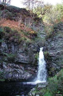 The Grey Mare's Tail burn, Galloway Forest Park
One of several water falls on the Grey Mare's Tail burn near Black Loch within the Galloway Forest Park.  [url=http://www.streetmap.co.uk/map.srf?X=249080&Y=572672&A=Y&Z=120/] Map location. [/url]
