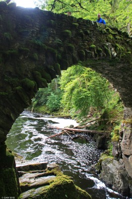 Bridge over the Braan, The Hermitage
The footbridge dates from 1750 and crosses the River Braan just next to Ossians Hall. [url=http://streetmap.co.uk/map.srf?X=300873&Y=741728&A=Y&Z=115/] Map location. [/url]
