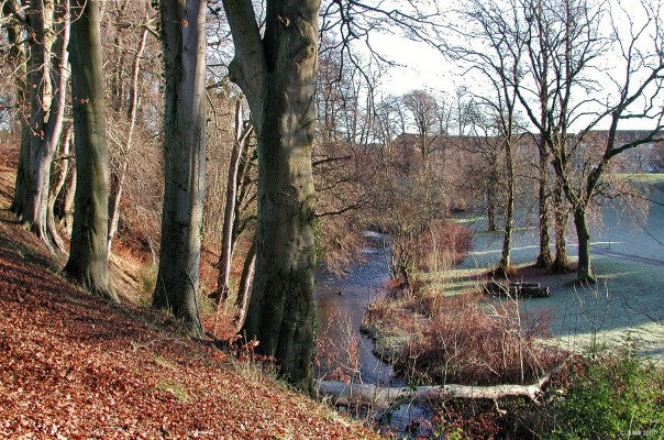 The Levern Burn in Winter, Barrhead
