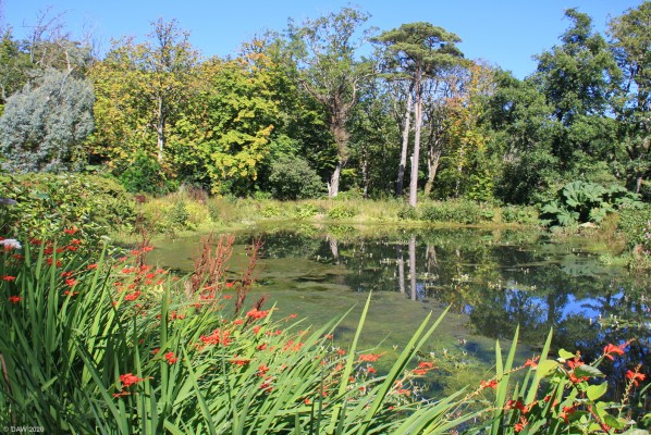 The Pond, Achamore Gardens, Island of Gigha
[url=http://streetmap.co.uk/map.srf?X=164341&Y=647702&A=Y&Z=115/] Map location. [/url]
