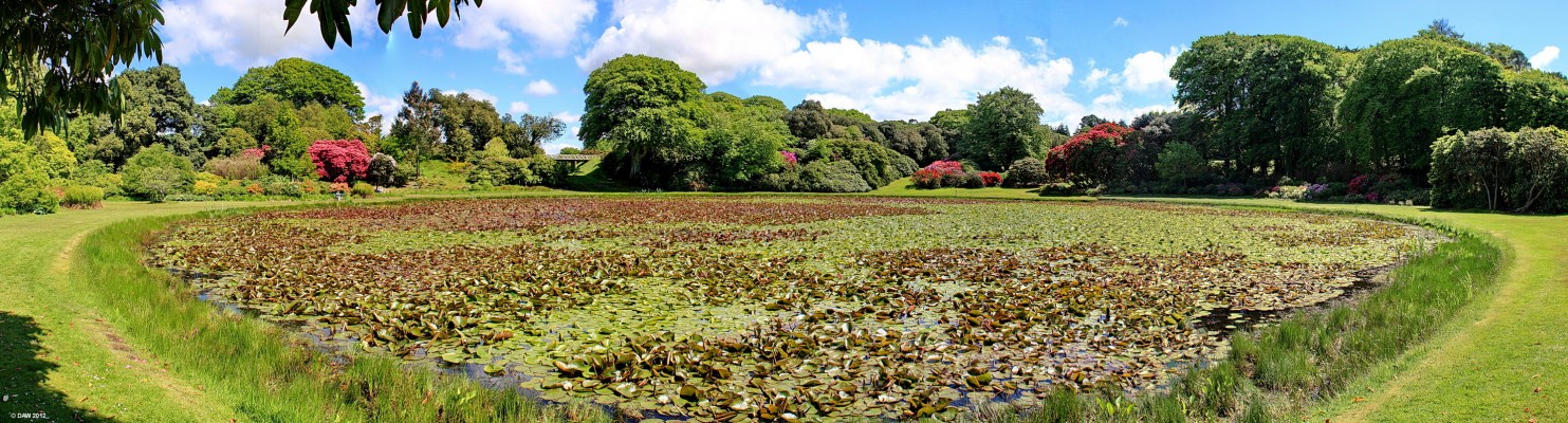 The Round Pond, Castle Kennedy Gardens
The round pond at Castle Kennedy in May.  At this time of year it is surrounded by Azalea and Rhododendron of all colours. [url=http://www.streetmap.co.uk/map.srf?X=211030&Y=561142&A=Y&Z=115/] Map location. [/url]
