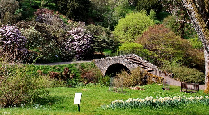 The Swiss Bridge, Dawyck Botanic Garden
A view of the Swiss Bridge at [url=http://www.rbge.org.uk/the-gardens/dawyck/] Dawyck Botanic Garden [/url] in spring.

