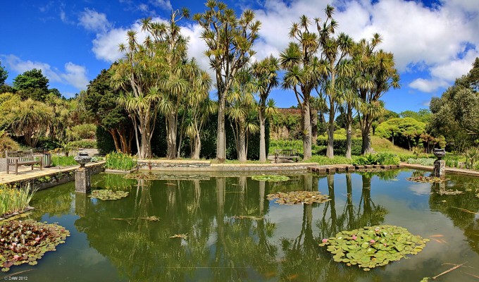 The fish Pond, Logan Botanic Gardens
The palm trees at Logan reflect in the water of the fish pond.  If you look close you can see the fish and also the thin lines tied across the pond to stop the Herons helping themselves.  [url=http://www.streetmap.co.uk/map.srf?X=209611&Y=542596&A=Y&Z=115/] Map location. [/url]
