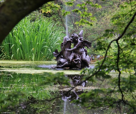 The fountain, Benmore Botanic Gardens
