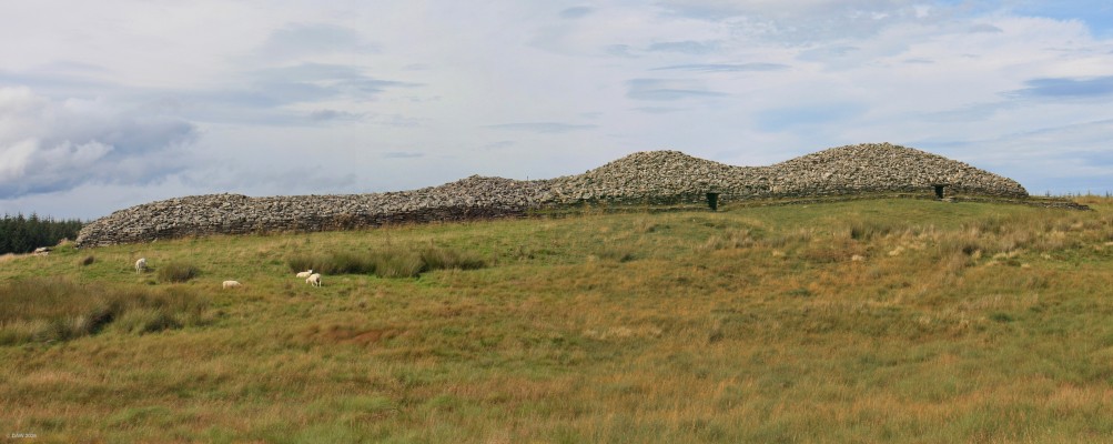 The Long Cairn of Camster, 2019
A side view of the Long Cairn at Camster.  It is some 61m in length and dates from 5,000 years ago.  There are two chambers although it is thought there might be a third. it also thought it may have started as three round Cairns that were joined at some later date. [url=http://streetmap.co.uk/map.srf?X=326064&Y=944085&A=Y&Z=115/] Map location. [/url]
