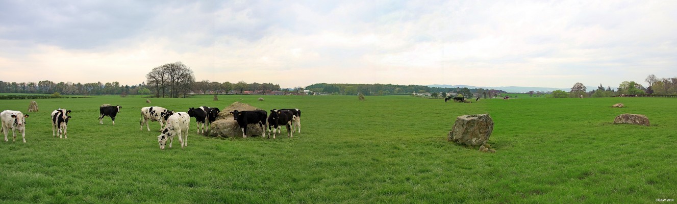 The Twelve Apostles, stone circle, Dumfries
At first glance this looks like a field with cows, but look closer and you'll see 11 standing stones (there were probably 12 at one time).   This is the largest stone circle in Scotland with a diameter of 88m, but it isn't very well known probably because it is less spectacular than other smaller circles.  It is thought to date from 2000BC.   [url=http://www.streetmap.co.uk/map.srf?X=294636&Y=579392&A=Y&Z=115/] Map location. [/url]
