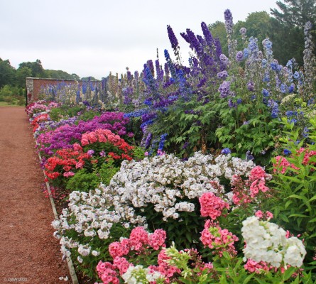 The Walled Garden, Dumfries House
Summer colour on a cloudy summer day at Dumfries House.
