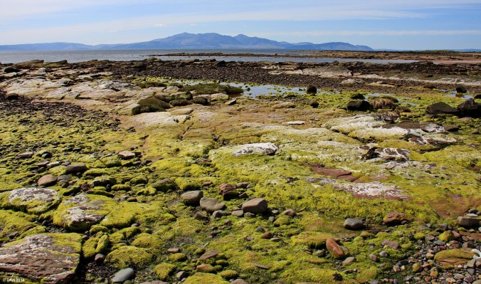 Low tide, Seamill
Looking out across the rocky shore line near Seamill towards the Island of Arran. [url=http://www.streetmap.co.uk/map.srf?X=220696&Y=645931&A=Y&Z=120/] Map location. [/url]
