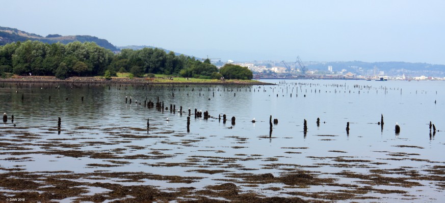 Timber ponds, Findlaystone Point
The posts sticking out the water are what remains of timber ponds that were used from the early 18th century until the 19th century to store timber imported from North America before it was sold on to the ship yards on the Clyde.  They stretch along the shore for a couple of miles at Finlaystone Point.  [url=http://streetmap.co.uk/map.srf?X=235015&Y=674100&A=Y&Z=115/] Map location. [/url]
