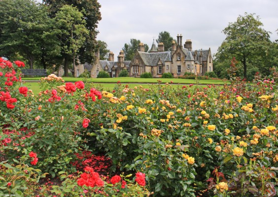 Tollcross Park, Glasgow
The Rose Trial beds at Tollcross Park with Tollcross House in the background.

