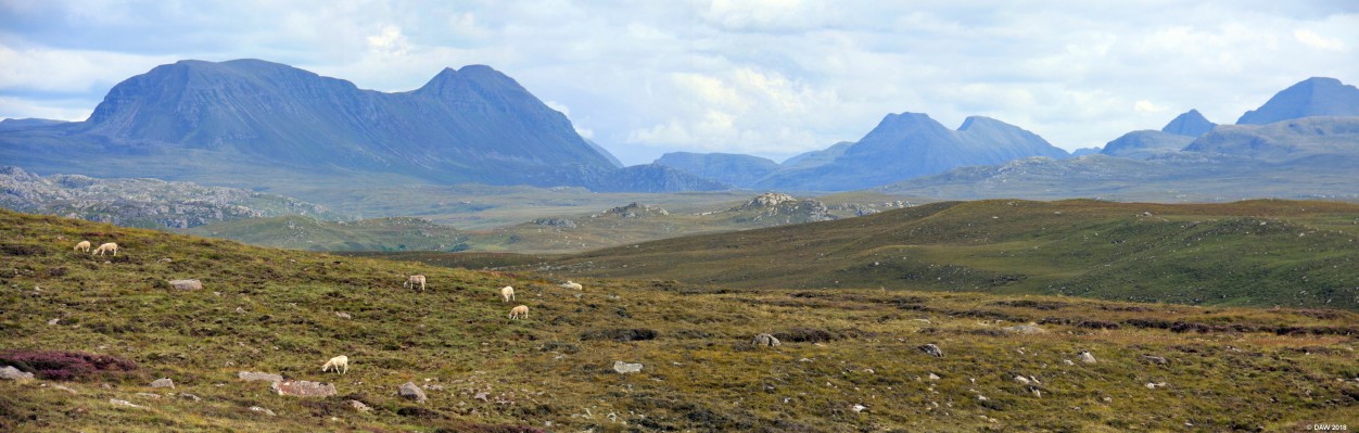 The Torridons from Red Point
A distant view of the Torridon mountain range from the coast near Red Point.  [url=http://streetmap.co.uk/map.srf?X=173135&Y=869860&A=Y&Z=120/] Map location. [/url]
