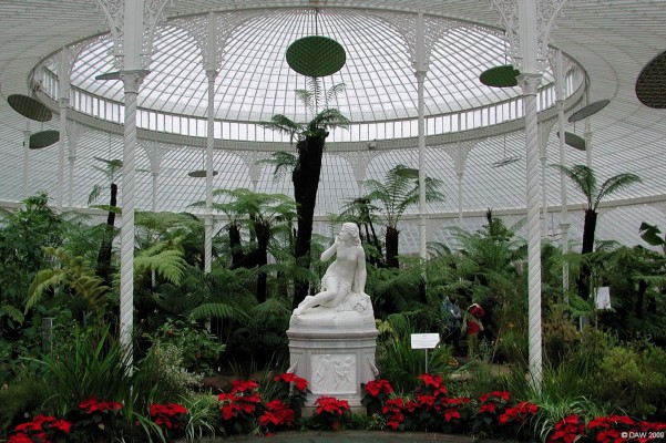 Tree ferns, Kibble Palace
Tree ferns in the large Dome at [url=http://www.glasgow.gov.uk/en/Residents/Parks_Outdoors/Parks_gardens/KibblePalaceRestoration.htm/] Kibble Palace. [/url]  
