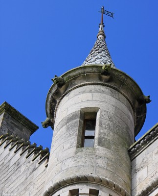 Turrets and Gargoils, Dunrobin Castle
Ever feel like you're being watched? [url=http://www.streetmap.co.uk/map.srf?X=285082&Y=900810&A=Y&Z=120/] Map location. [/url]
