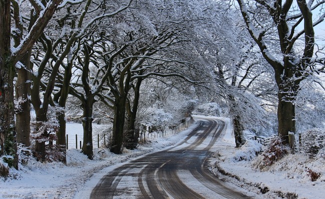 Winter scene on the road to Uplawmoor
[url=http://www.streetmap.co.uk/map.srf?X=245280&Y=656105&A=Y&Z=120/] Map location. [/url]
