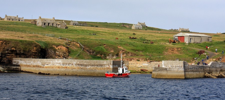 Uppertown, Isle of Stroma
A view of the abandoned settlement of Uppertown on the Island of Stroma in the Pentland Firth.  The last family left Stroma in 1962.  [url=http://streetmap.co.uk/map.srf?X=335285&Y=976129&A=Y&Z=120/] Map location. [/url]
