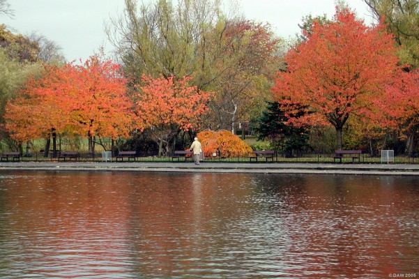 The Pond, Victoria Park, Glasgow
