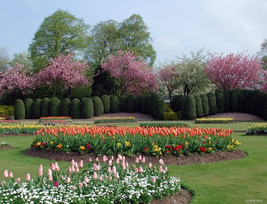 Spring planting, Victoria Park, Glasgow
