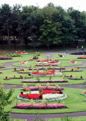 Over looking the summer bedding area at Victoria Park, Glasgow
