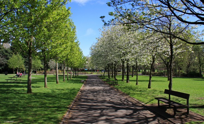 Victoria Park, Glasgow, 2018
