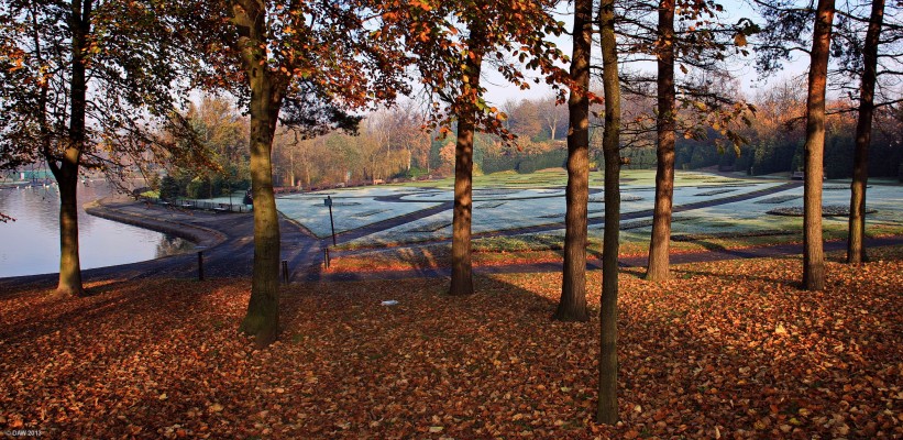 Victoria Park, Autumn, 2011
Looking out from the trees over the winter bedding plants on a frosty Autumn morning.
