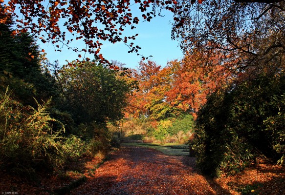The Quarry, Victoria Park, Autumn 2011
