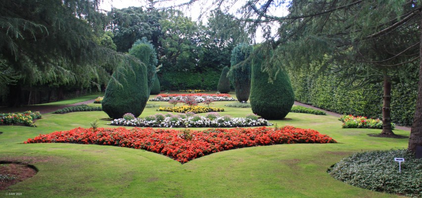 Dirleston Castle Garden
The formal Victorian west garden with its colourful geraniums. The garden was faithfully reconstructed in 1993. 
