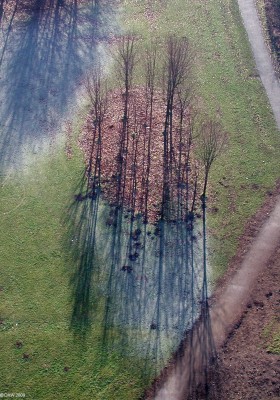 View from a bridge
Looking down on park land below the Erskine Bridge.  The frost still lingering in the shadows of the trees.  [url=http://www.streetmap.co.uk/map.srf?X=246017&Y=672275&A=Y&Z=115/] Map location. [/url]
