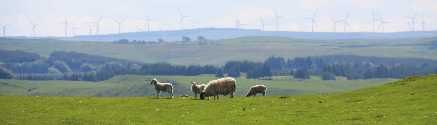 Whitelees Windfarm from Dyke Hill
[url=http://www.streetmap.co.uk/map.srf?X=248939&Y=655997&A=Y&Z=115/] Map location. [/url]
