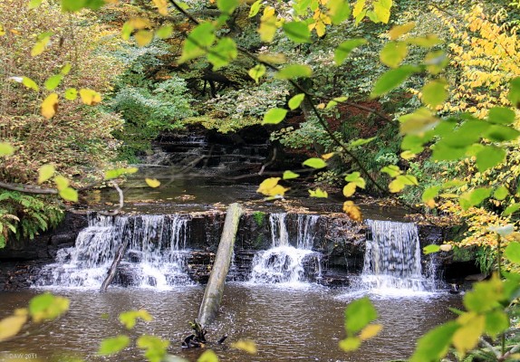 Waterfalls, Calderglen Country Park
One of the waterfalls on Calder Water in Calderglen Country Park on the outskirts of East Kilbride. [/url=http://www.streetmap.co.uk/map.srf?X=265475&Y=653067&A=Y&Z=115/] Map location. [/url]
