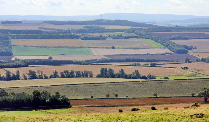 The Waterloo Monument, near Ancrum
A distant view of the Waterloo Monument near Ancrum in the borders.  It stands on Peneil Heugh and rises to aq height of 150ft.  [url=http://www.streetmap.co.uk/map.srf?X=363709&Y=633933&A=Y&Z=130&ax=363849&ay=634673/] Map location. [/url]
