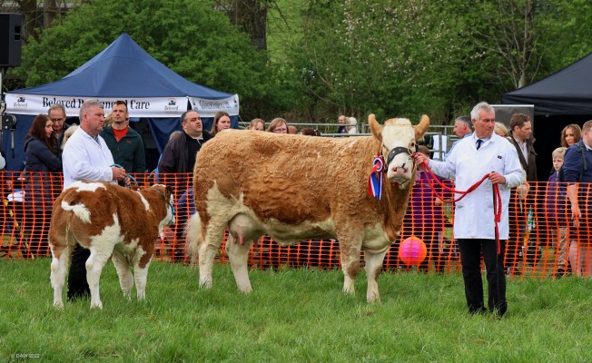 Wee Coo, Big Coo, 2022
