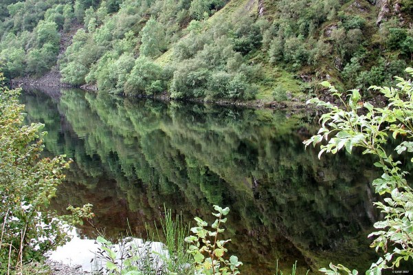 A view over the western end of Loch Awe
Taken at the Pass of Brander where the loch becomes very narrow and the hills very steep on either side.  [url=http://www.multimap.com/map/browse.cgi?lat=56.4023&lon=-5.1516&scale=25000&icon=x/]Map location[/url]
