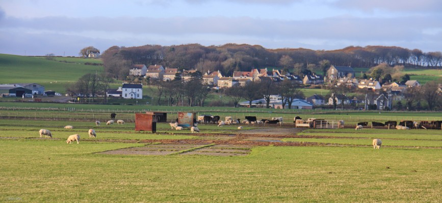 Wig Bay, Loch Ryan
Loch Ryan was used as a sheltered location for Flying boats from the 1920's.  During WWII it became the largest flying boat base in Britain, American Catalinas were brought here to be converted for the use by RAF.  The field behind Wig Bay still has the concrete hard standings, which can be seen in this photo, where the aircraft were parked. The concrete slipway at the car park is where they would be hauled out of the sea. [url=http://streetmap.co.uk/map?X=203770&Y=567994&A=Y&Z=115/] Map location [/url]
