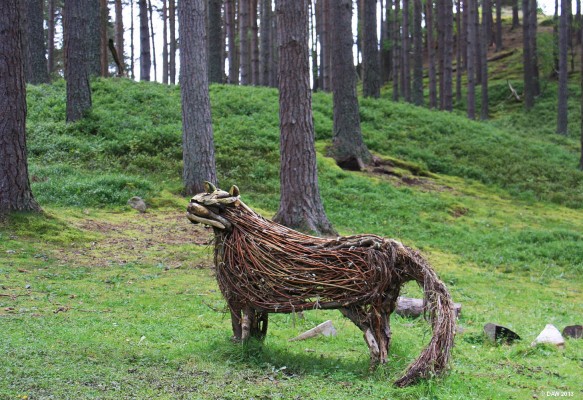 Wolf?
If you go down to the woods today you're sure of a big surprise.  Seen at the Highland Folk Museum, Newtonmore.
